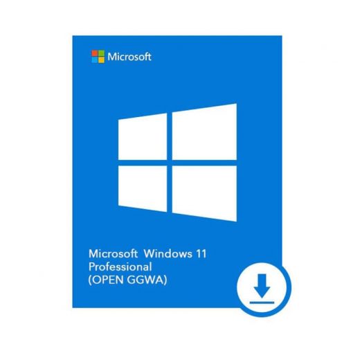 [101797] Microsoft Windows 11 Pro